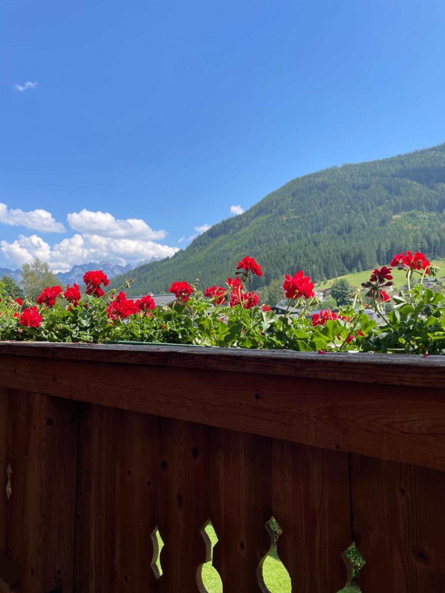 Wimmhof Apartment Sankt Martin am Tennengebirge Exterior photo